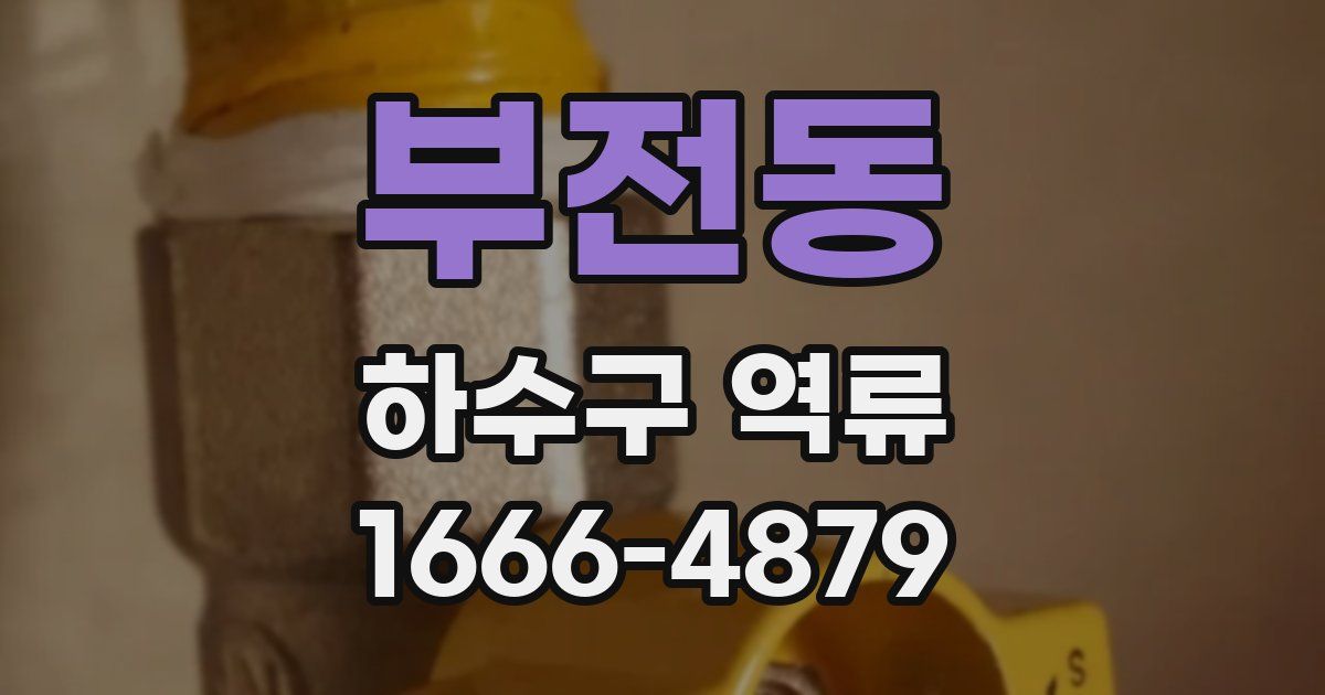 부전동 하수구 역류