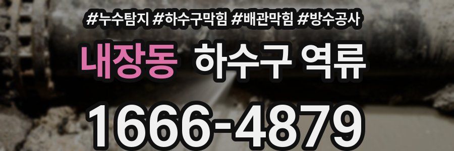 내장동 하수구 역류