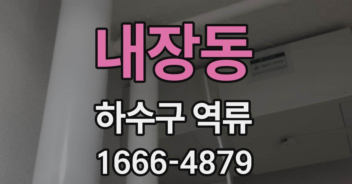 내장동 하수구 역류