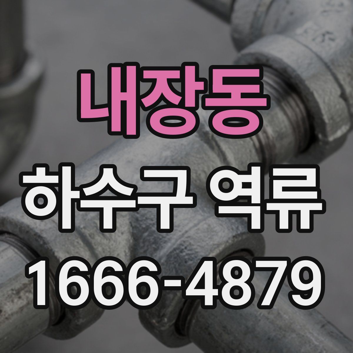 내장동 하수구 역류