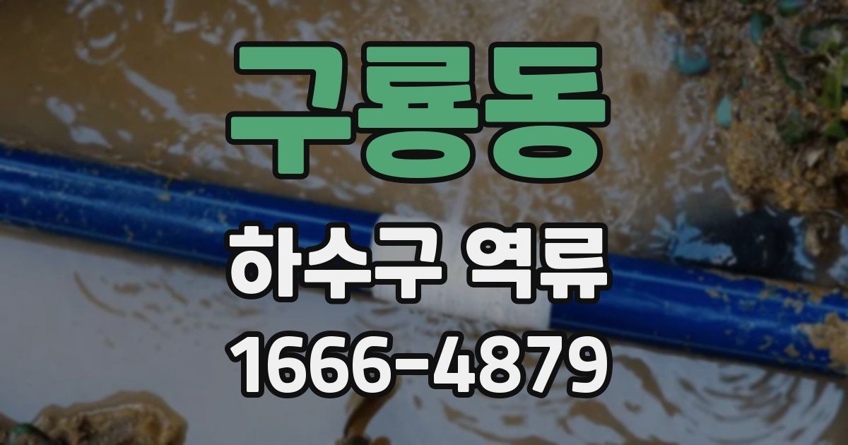 구룡동 하수구 역류