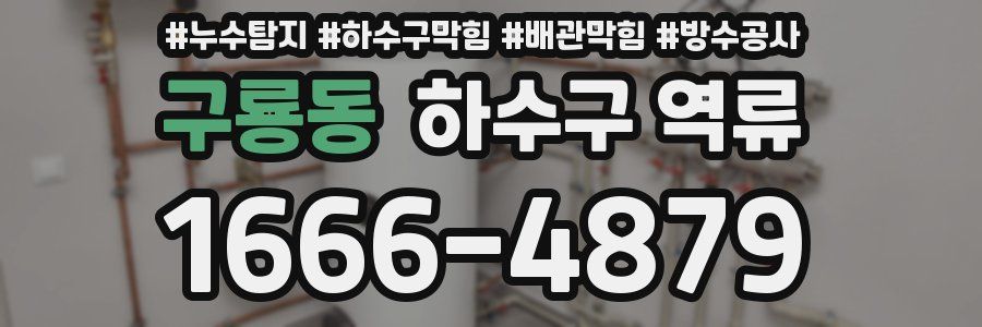구룡동 하수구 역류