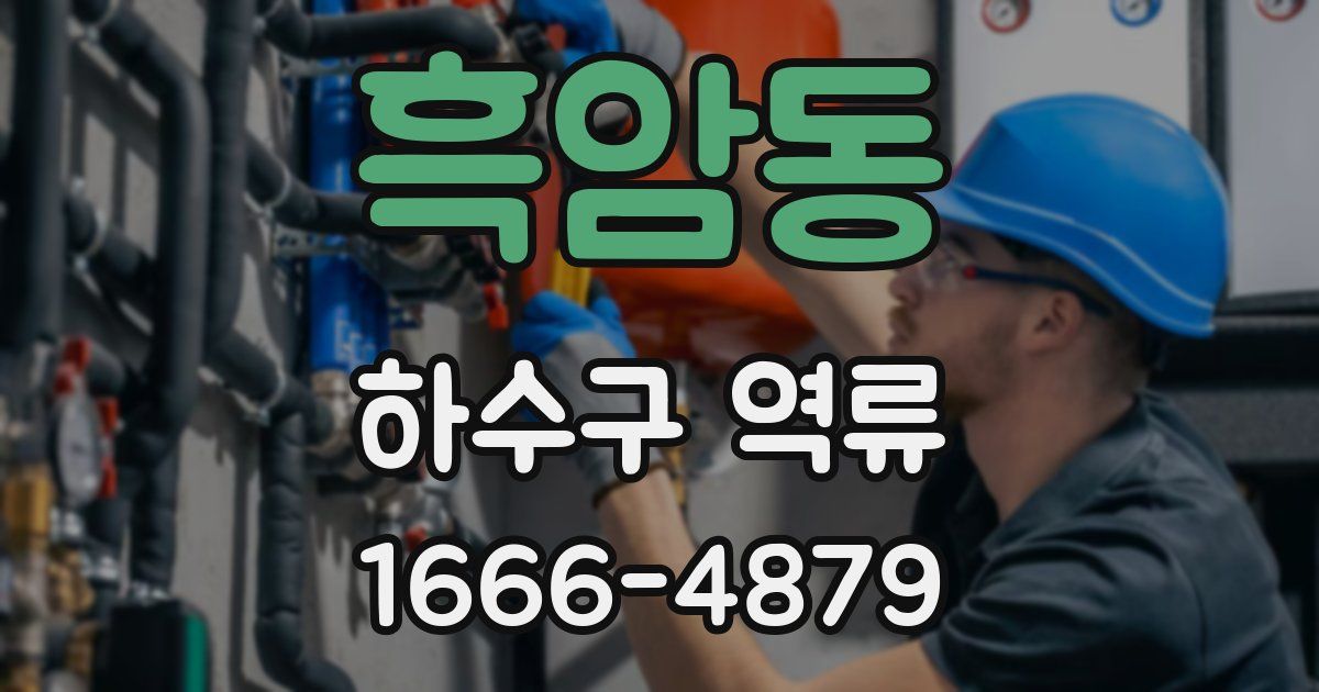 흑암동 하수구 역류