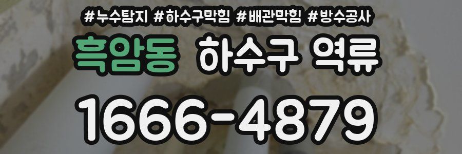 흑암동 하수구 역류