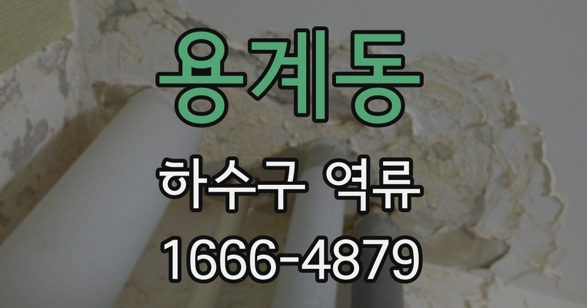 용계동 하수구 역류
