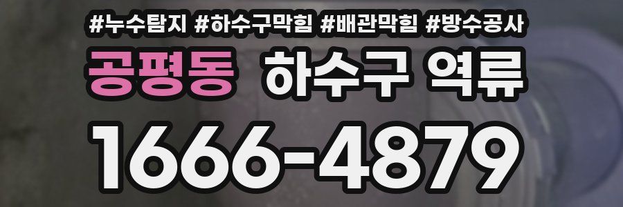 공평동 하수구 역류