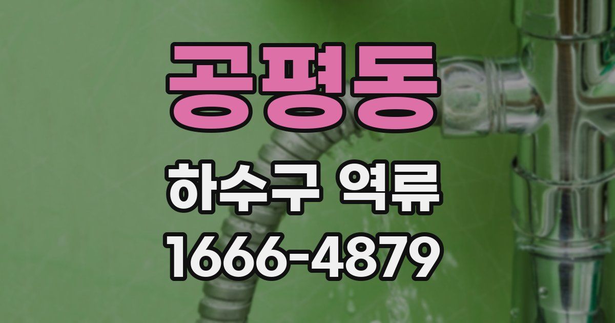 공평동 하수구 역류