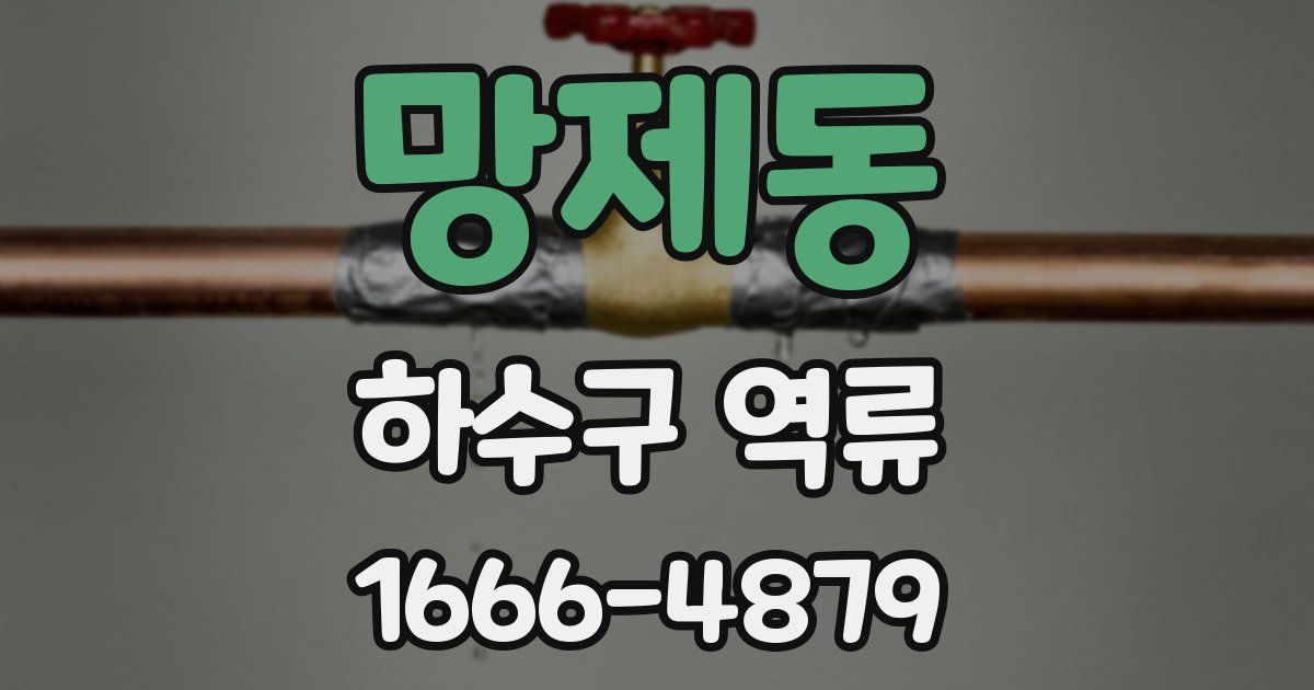 망제동 하수구 역류