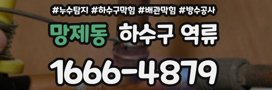 망제동 하수구 역류