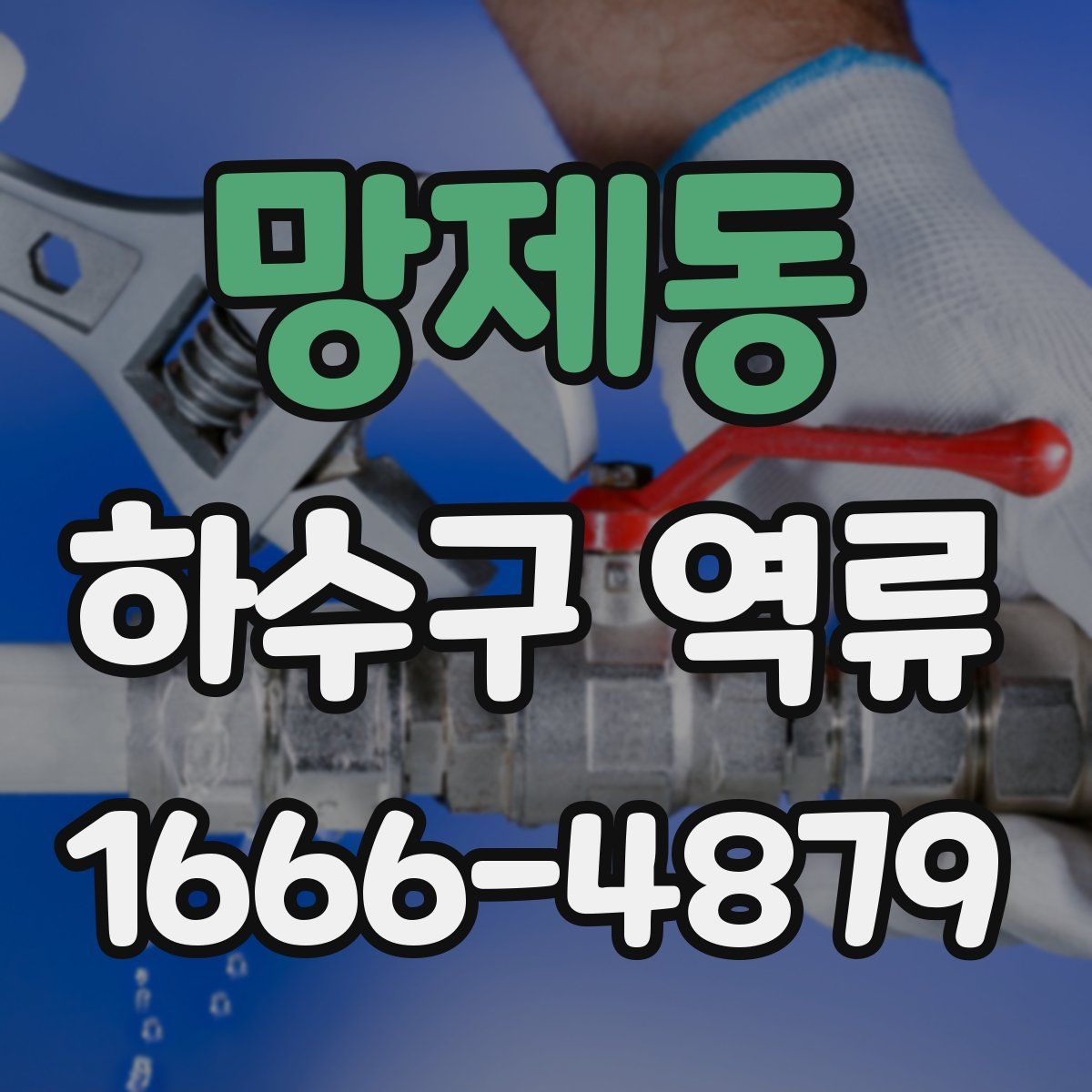 망제동 하수구 역류