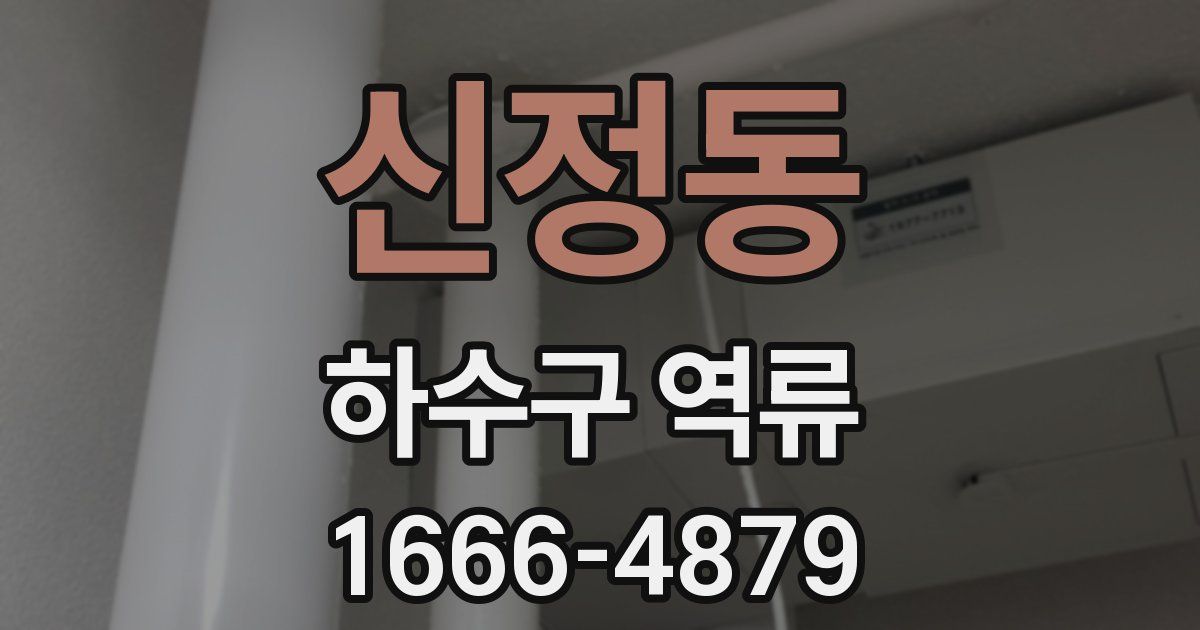 신정동 하수구 역류