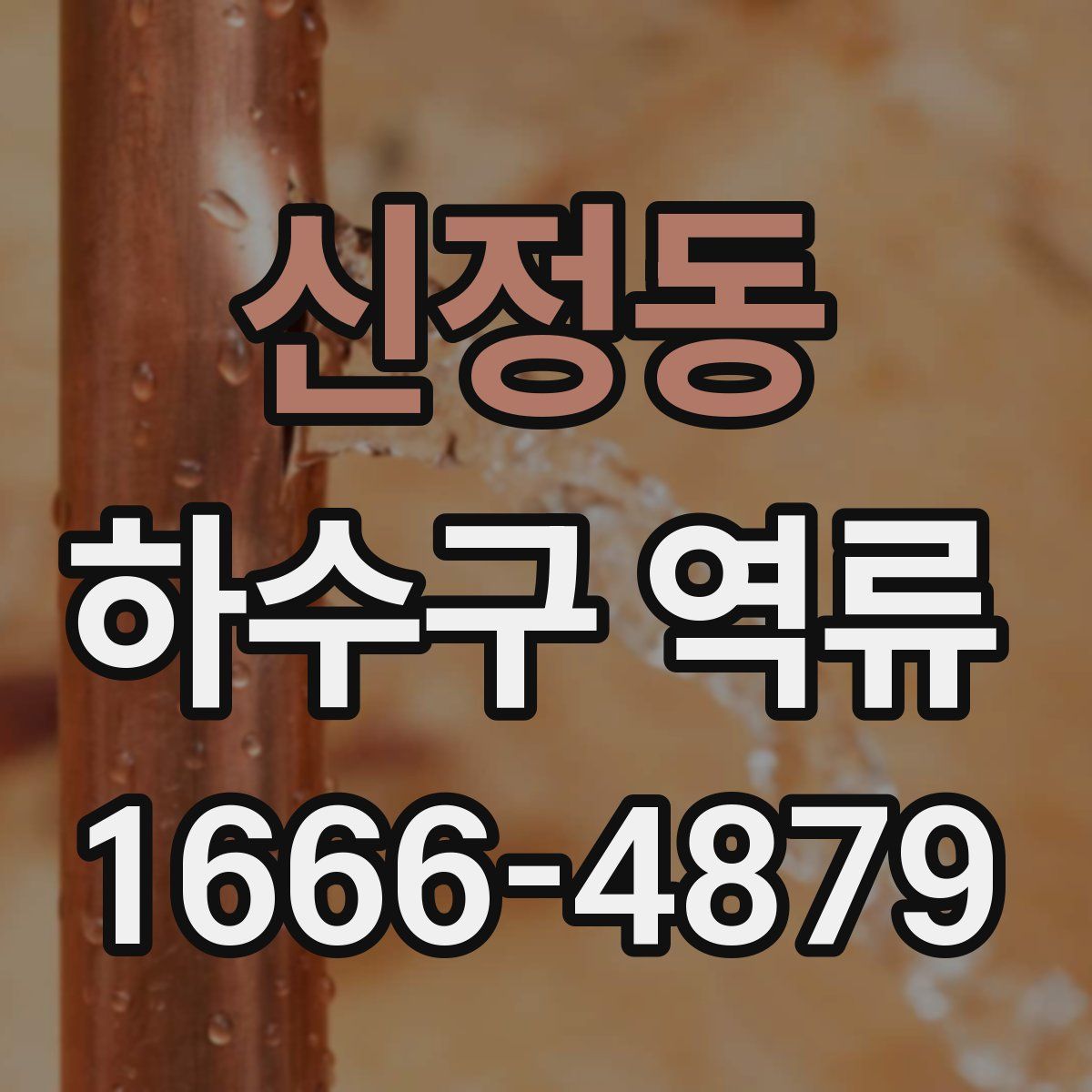 신정동 하수구 역류
