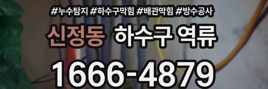 신정동 하수구 역류