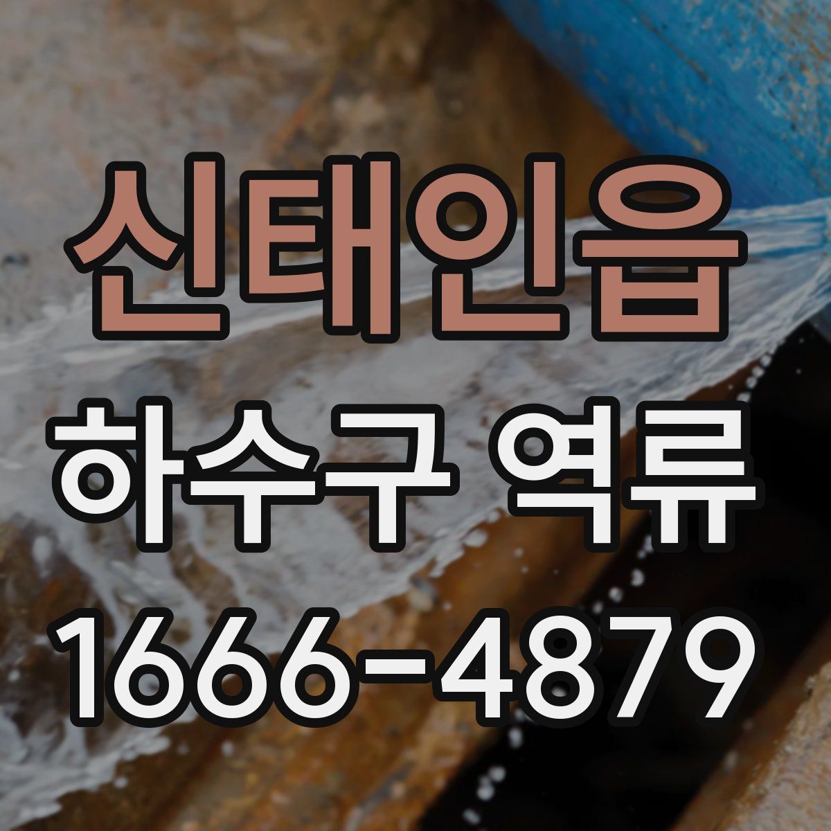 신태인읍 하수구 역류
