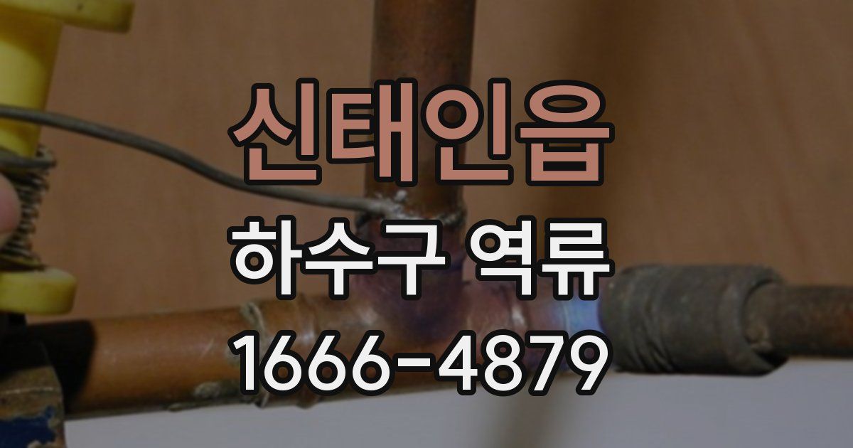 신태인읍 하수구 역류