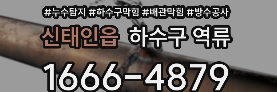 신태인읍 하수구 역류
