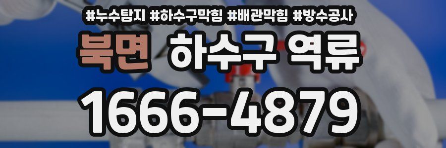 북면 하수구 역류