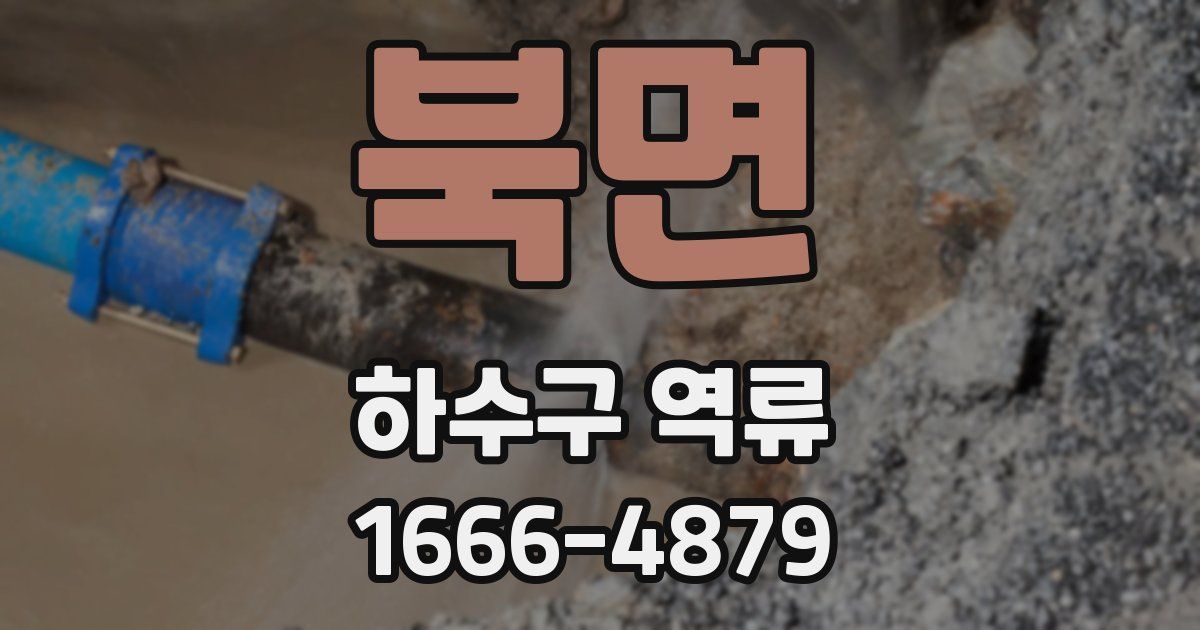 북면 하수구 역류
