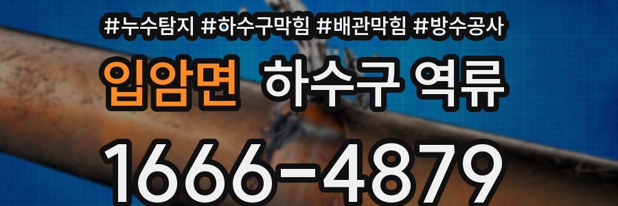입암면 하수구 역류