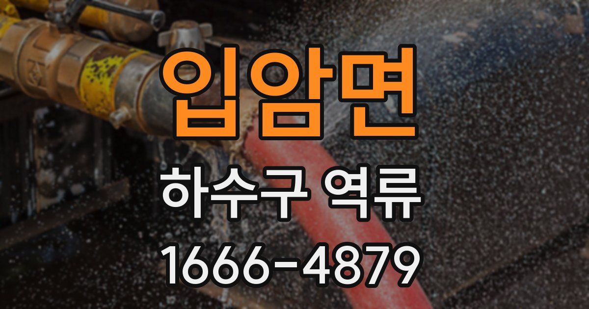 입암면 하수구 역류