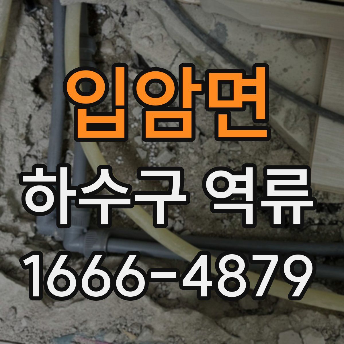 입암면 하수구 역류