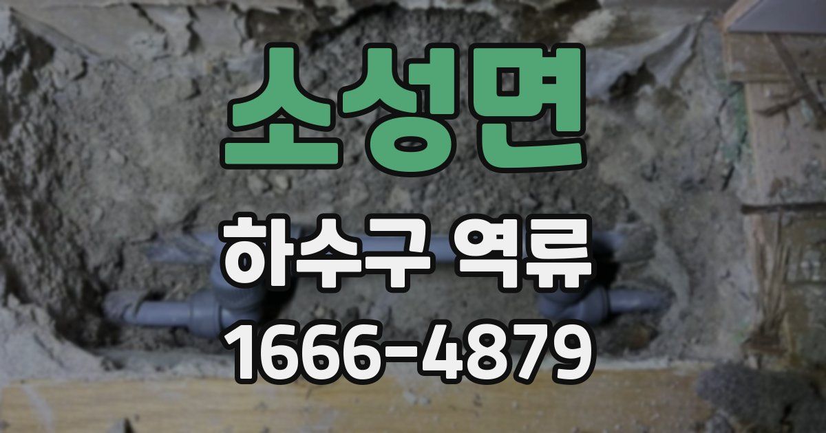 소성면 하수구 역류