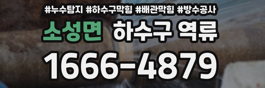 소성면 하수구 역류