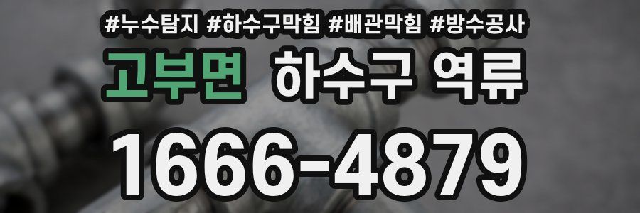 고부면 하수구 역류