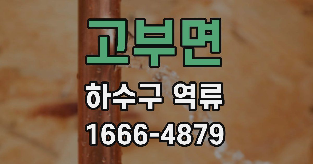 고부면 하수구 역류