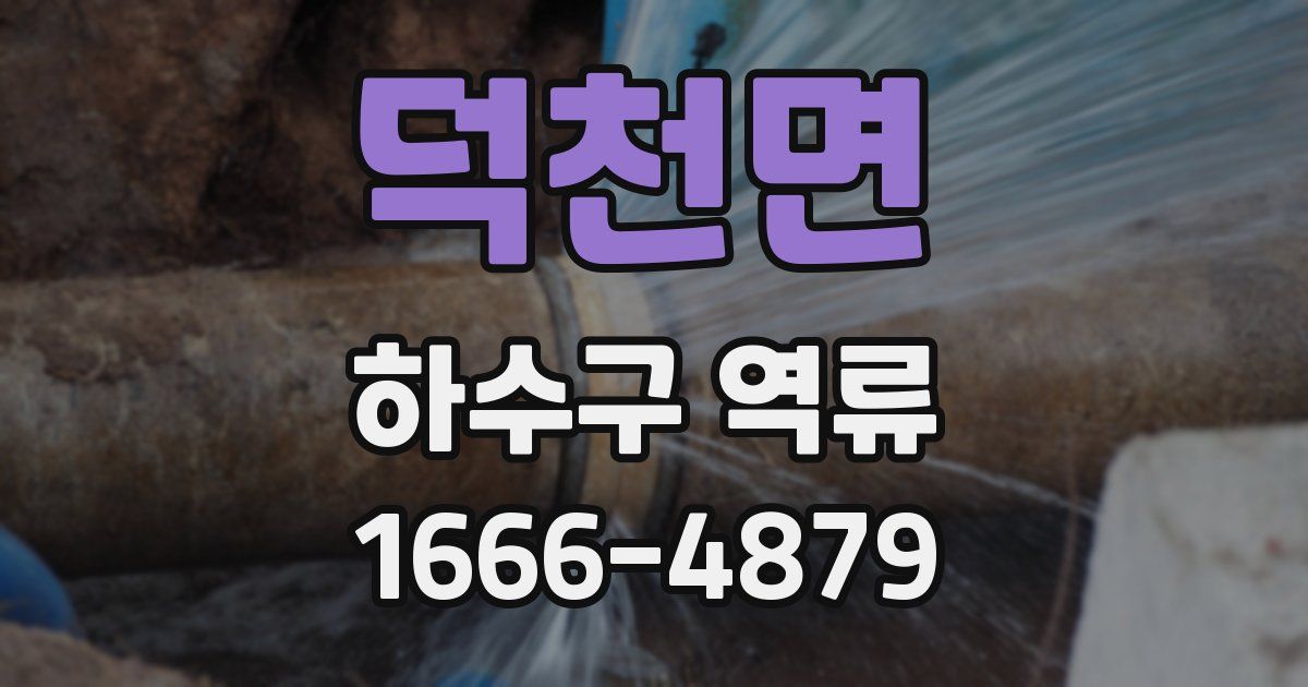 덕천면 하수구 역류