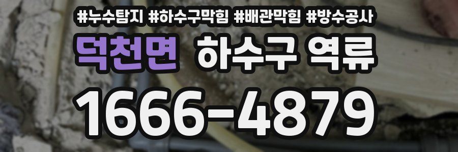 덕천면 하수구 역류