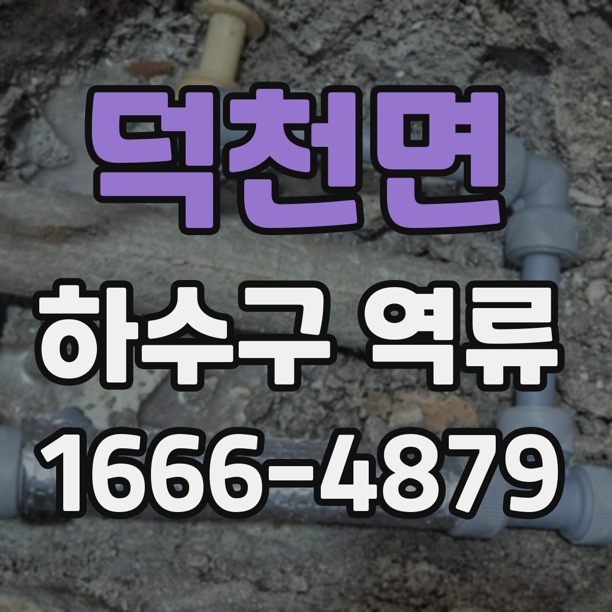 덕천면 하수구 역류