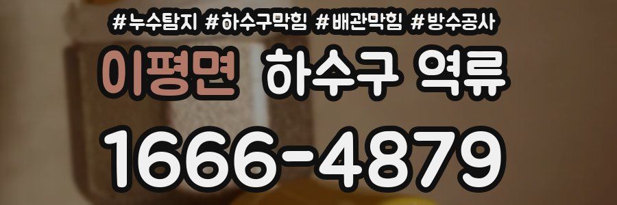 이평면 하수구 역류