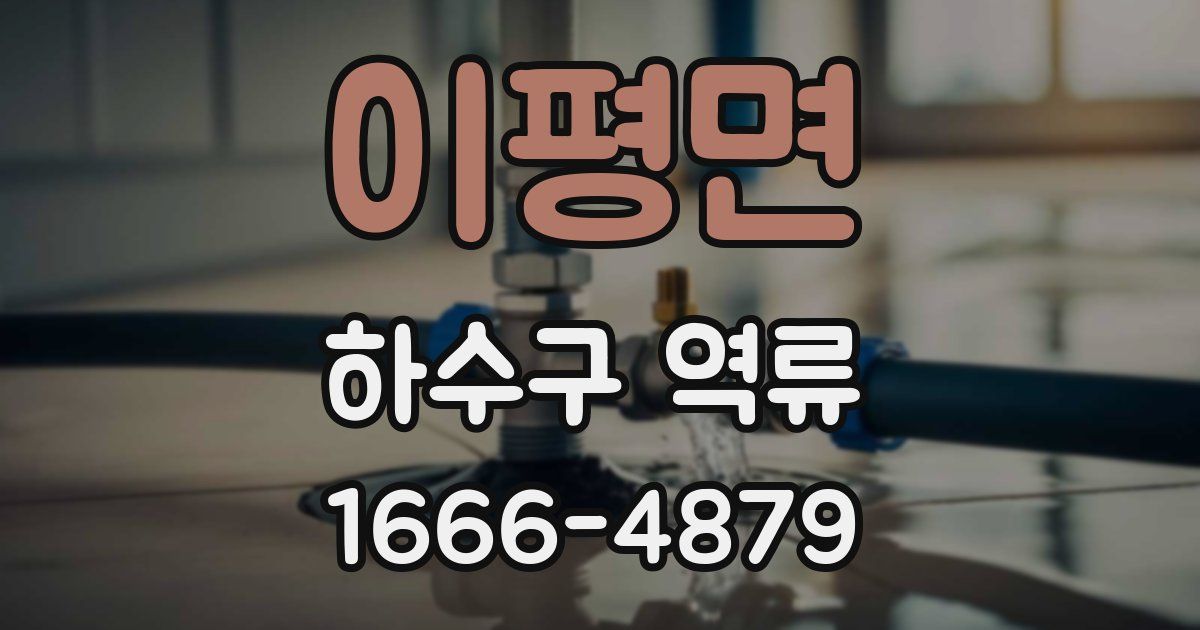 이평면 하수구 역류