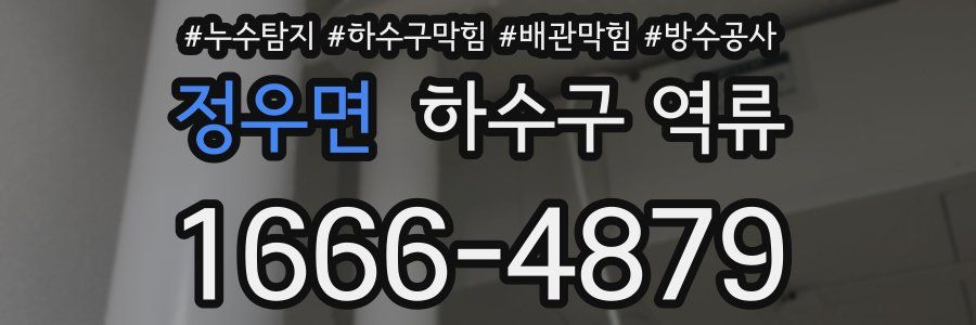 정우면 하수구 역류