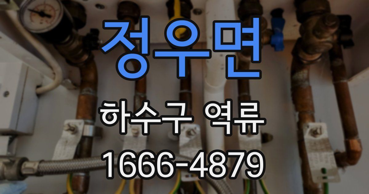 정우면 하수구 역류