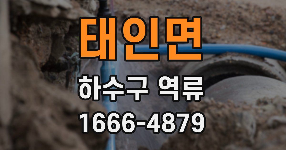 태인면 하수구 역류