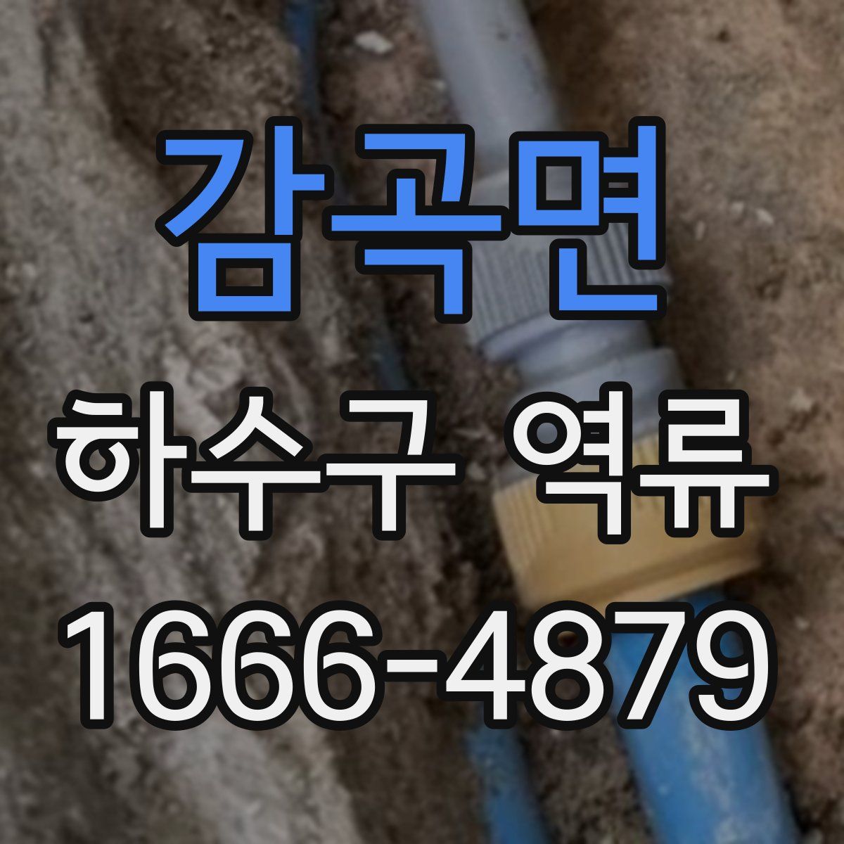 감곡면 하수구 역류
