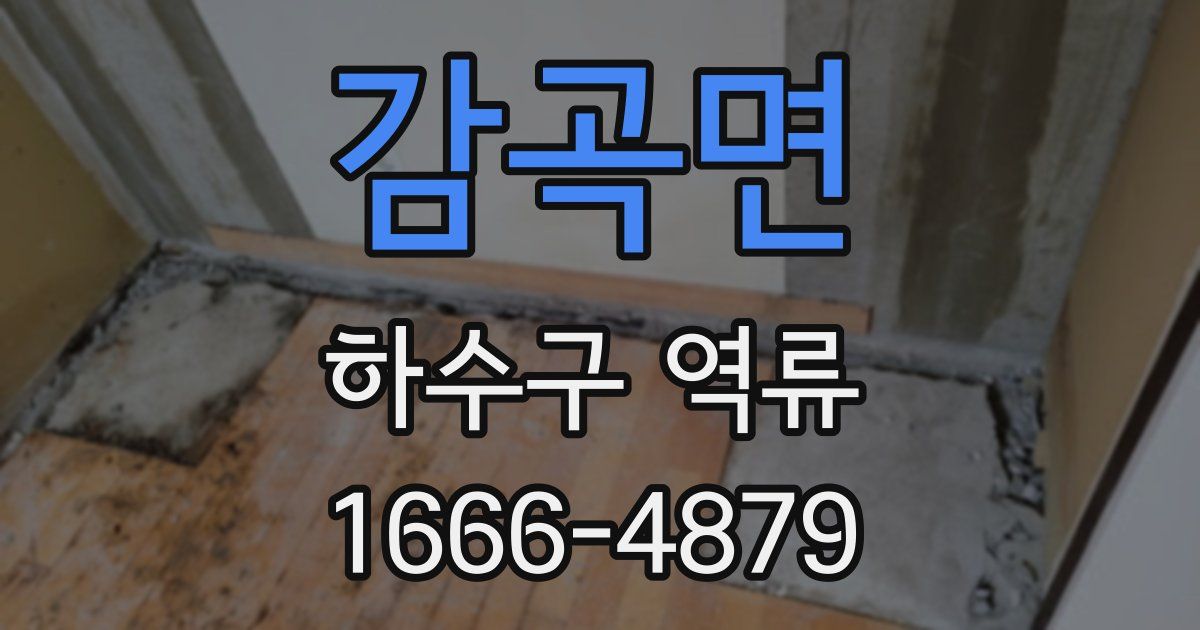 감곡면 하수구 역류