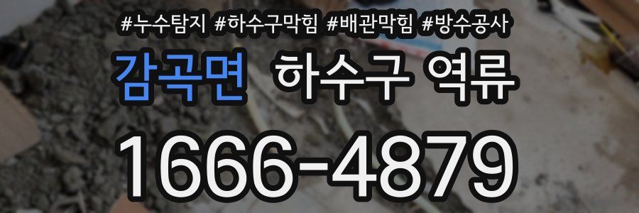 감곡면 하수구 역류