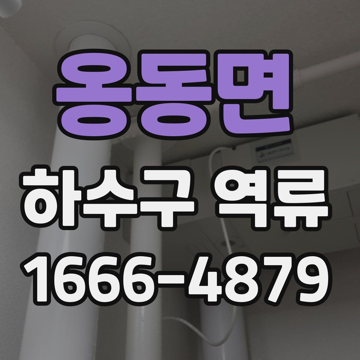 옹동면 하수구 역류