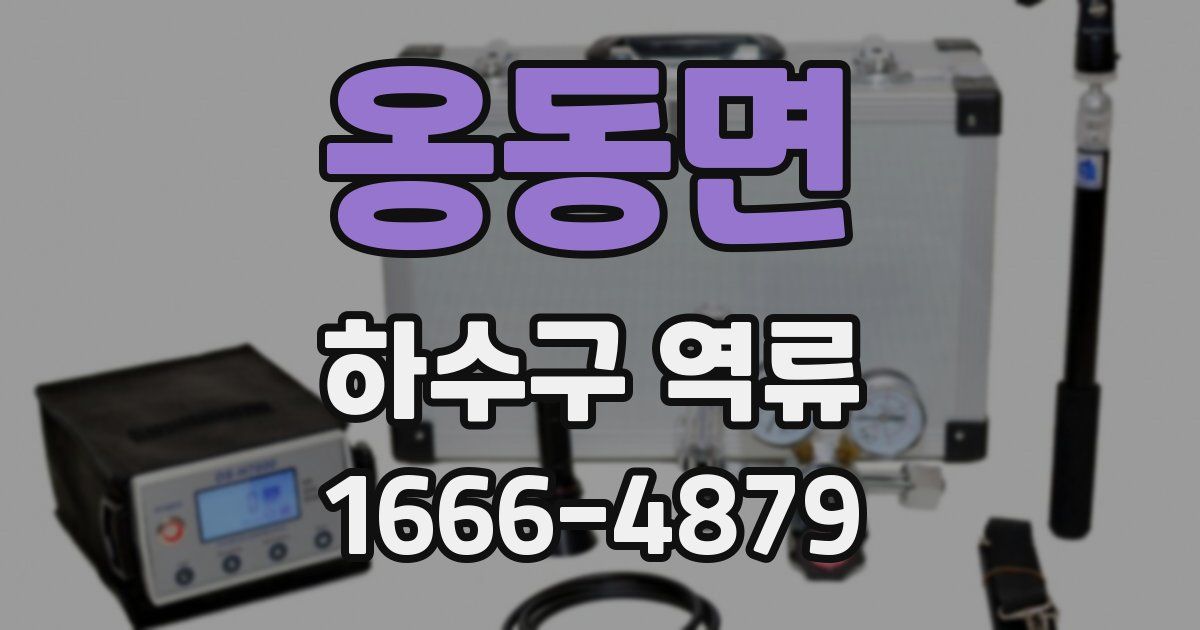 옹동면 하수구 역류