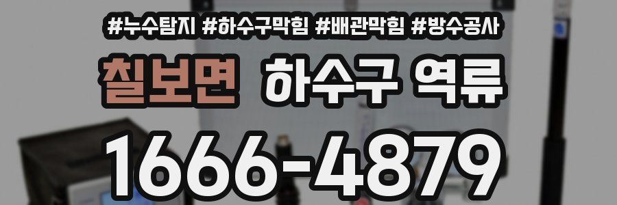 칠보면 하수구 역류