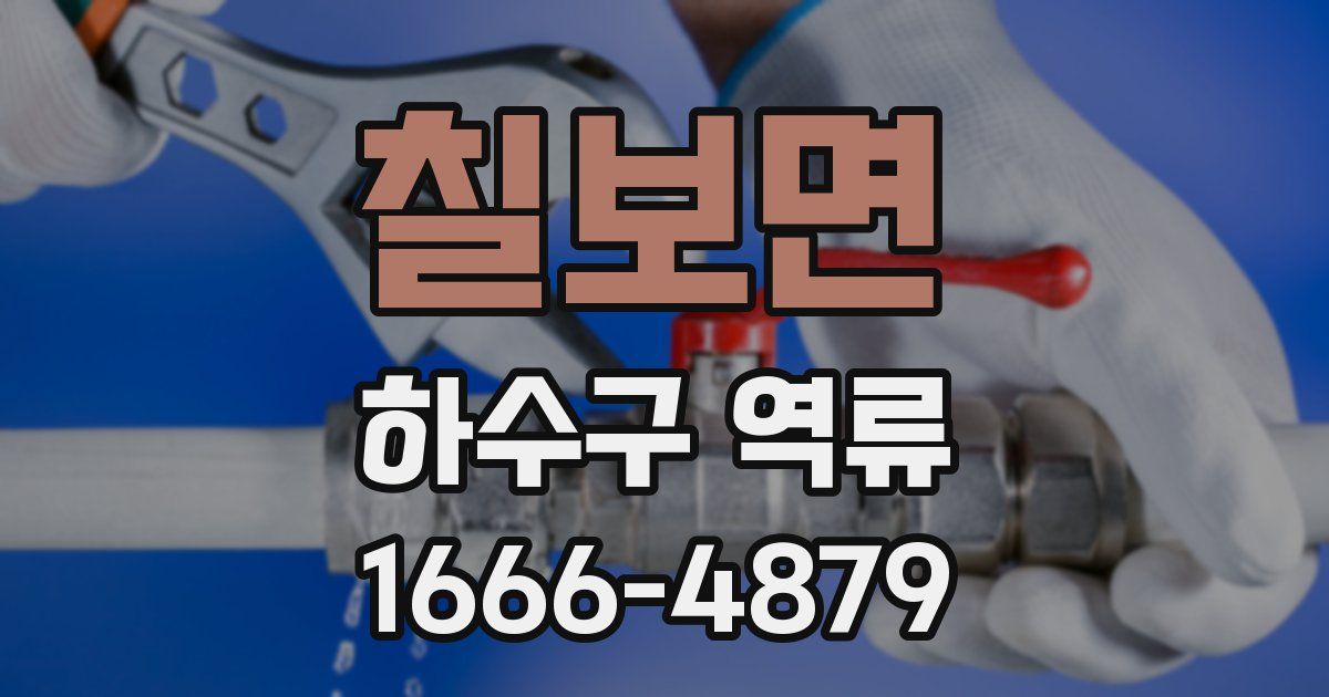 칠보면 하수구 역류