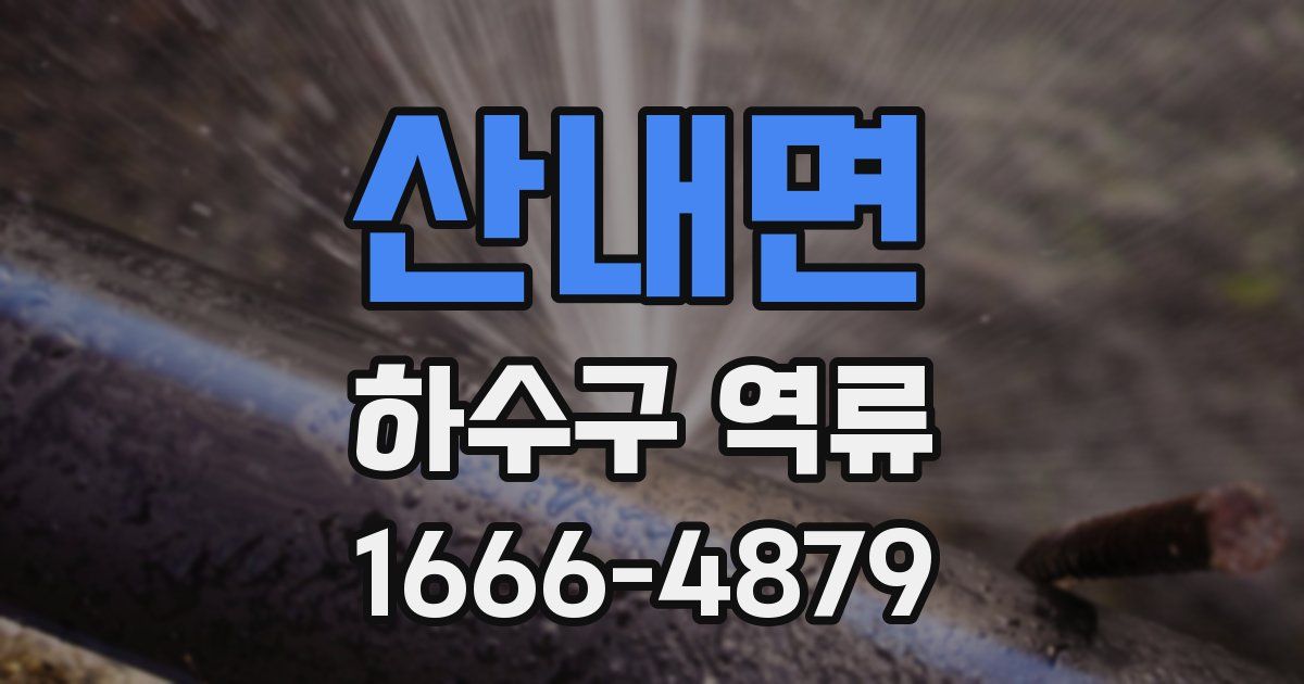 산내면 하수구 역류
