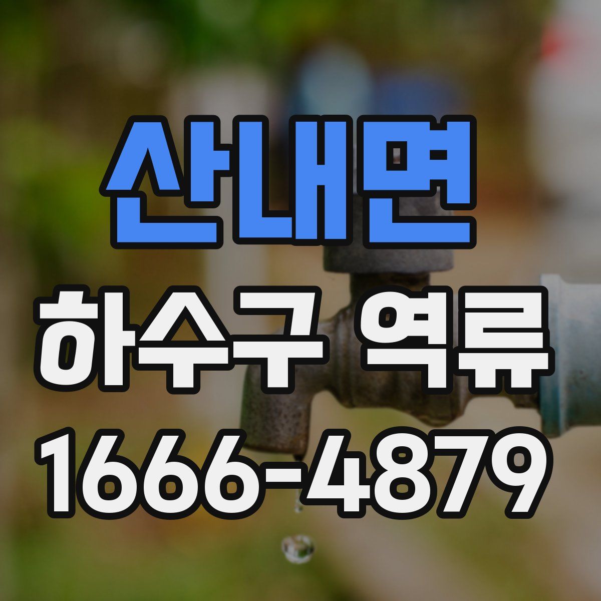 산내면 하수구 역류
