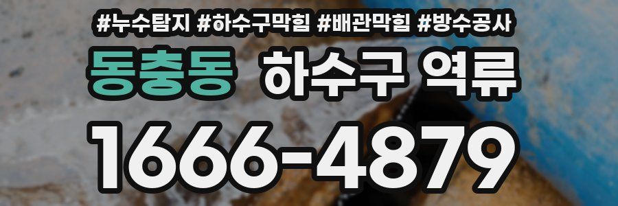 동충동 하수구 역류