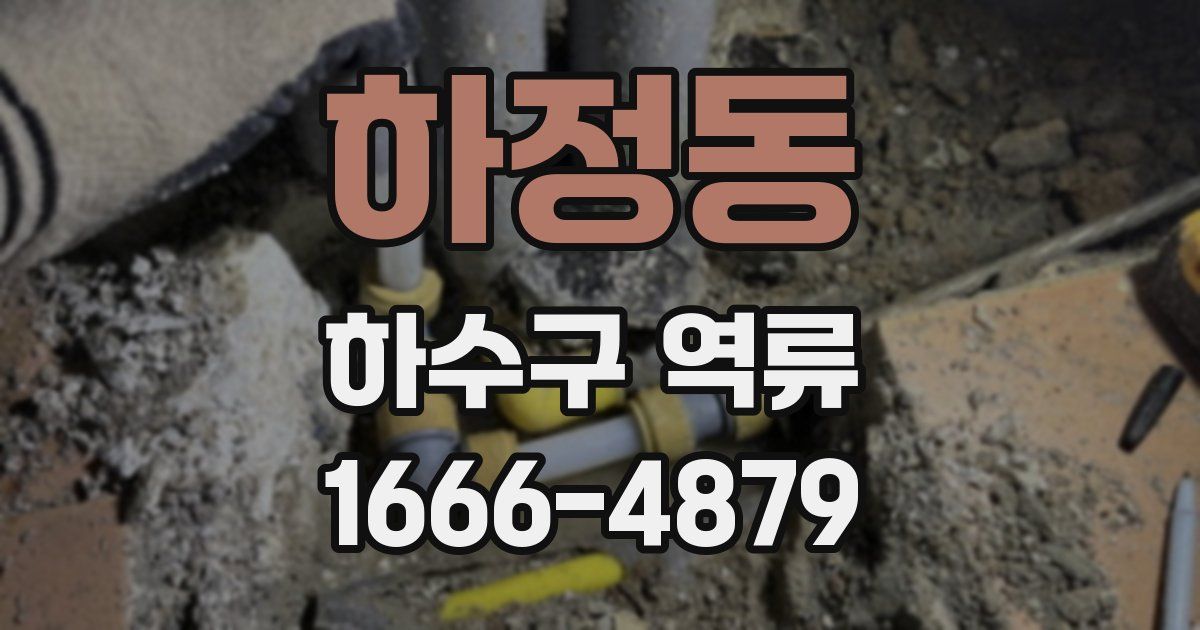 하정동 하수구 역류