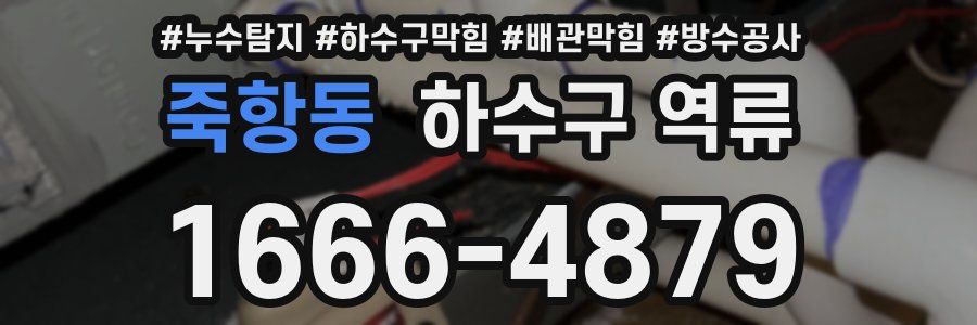 죽항동 하수구 역류