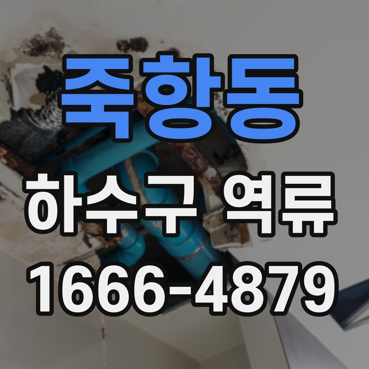 죽항동 하수구 역류
